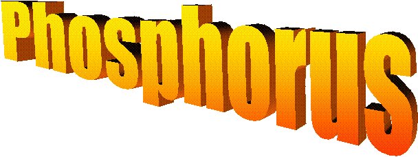 Phosphorus 